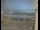 Webcam in Sdot Jam, 499.8 mi away