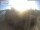 Webcam in Gothenburg, 31.8 mi away