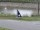 Webcam in Stadersand, 5.2 mi away