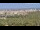 Webcam in Elx - Elche, 8 mi away