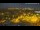 Webcam in Elx - Elche, 11.8 mi away