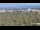 Webcam in Elx - Elche, 11.8 mi away