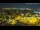 Webcam in Elx - Elche, 5.5 mi away