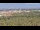 Webcam in Elx - Elche, 8.1 mi away