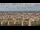 Webcam in Elx - Elche, 20.8 km entfernt
