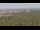 Webcam in Elx - Elche, 26.5 mi away