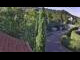 Webcam in Badenweiler, 22.8 km entfernt
