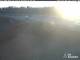 Webcam Dammheim