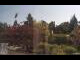 Webcam in Son en Breugel, 59.8 km
