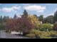 Webcam in Son en Breugel, 55.6 km