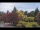 Webcam in Son en Breugel, 31.5 mi away
