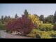 Webcam in Son en Breugel, 60.1 km