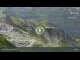 Webcam in Lech, 5.7 km entfernt