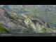 Webcam in Lech, 2.7 mi away