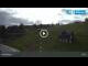 Webcam in Mladé Buky, 6.7 km