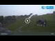 Webcam in Mladé Buky, 2.5 mi away