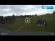 Webcam in Mladé Buky, 6.7 km