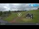 Webcam in Mladé Buky, 9.3 km