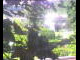 Webcam in Flachau (Salisburgo), 4.7 km