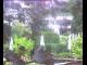 Webcam in Flachau (Salzburg), 0 mi away