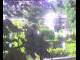 Webcam in Flachau (Salzburg), 3 mi away