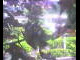 Webcam in Flachau (Salzburg), 2.2 mi away
