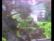 Webcam in Flachau (Salzburg), 7.6 km