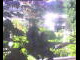 Webcam in Flachau (Salzburg), 2.2 mi away