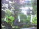 Webcam in Flachau (Salzburg), 1.8 mi away