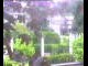 Webcam in Flachau (Salzburg), 7.6 km