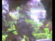 Webcam in Flachau (Salzburg), 0 mi away