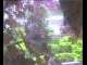 Webcam in Flachau (Salisburgo), 0 km