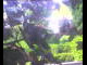 Webcam in Flachau (Salzburg), 0 km entfernt