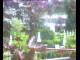 Webcam in Flachau (Salzburg), 7.4 km