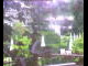 Webcam in Flachau (Salzbourg), 7.4 km