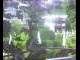 Webcam in Flachau (Salzbourg), 4 km