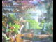Webcam in Flachau (Salisburgo), 0 km