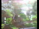 Webcam in Flachau (Salzburg), 2.2 mi away
