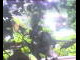 Webcam in Flachau (Salzburg), 2.8 mi away