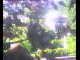 Webcam in Flachau (Salzburg), 0 km entfernt
