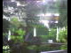 Webcam in Flachau (Salzburg), 2.2 mi away