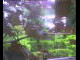 Webcam in Flachau (Salzburg), 1.6 mi away