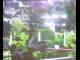 Webcam in Flachau (Salzburg), 2.9 mi away