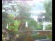 Webcam in Flachau (Salisburgo), 7.6 km