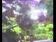 Webcam in Flachau (Salzburg), 4.7 km