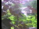 Webcam in Flachau (Salzburg), 2.8 mi away