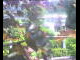 Webcam in Flachau (Salzburg), 2.2 mi away