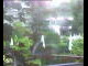Webcam in Flachau (Salzbourg), 5.7 km