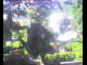 Webcam in Flachau (Salzburg), 0 km entfernt