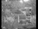 Webcam in Flachau (Salzburg), 1.7 mi away